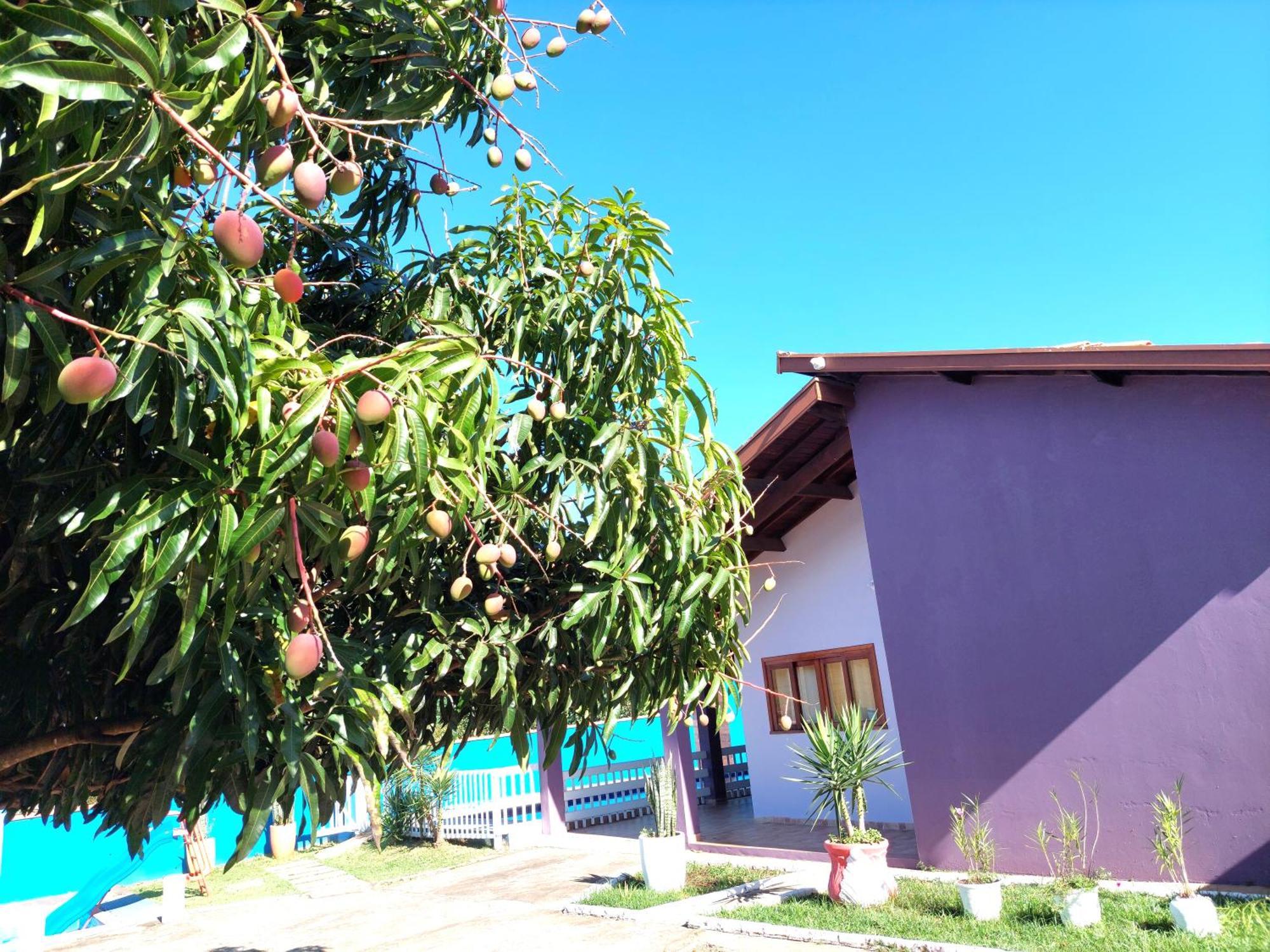 Temporada Belas Casas Sao Pedro  Eksteriør billede